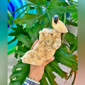 Parrot Carving on Citrine